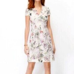 New Ann Taylor Pleated Eyelet Dress 14